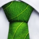 Beitragsbild für Blogbeitrag Green Engineering Energiewende regionale Wertschöpfung: Krawatte aus Blatt gefaltet auf weißem Hemd